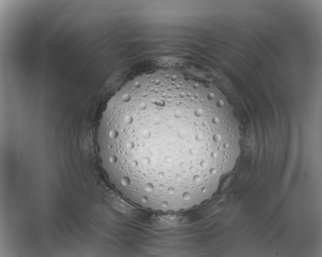 X0000062900473200601271718