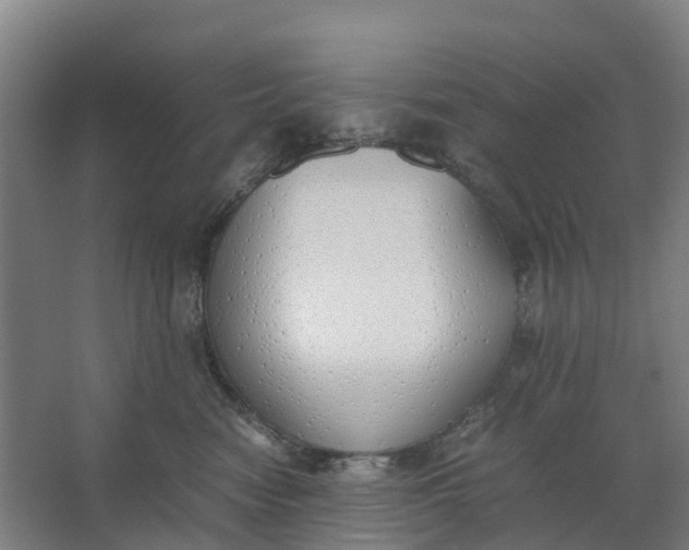 X0000062900474200601271718