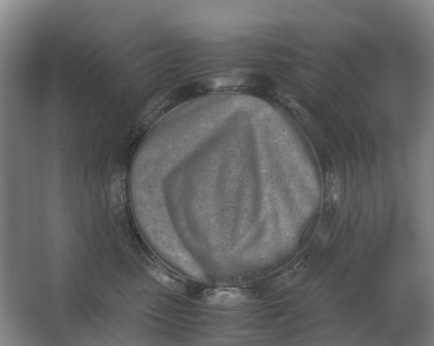 X0000062900475200601271718