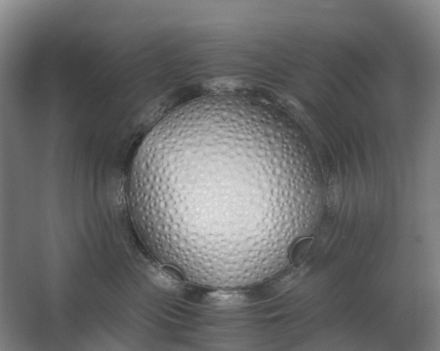 X0000062900477200601271718