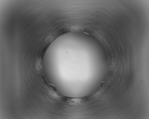 X0000062900478200601271718