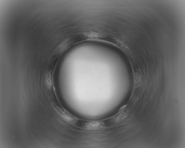 X0000062900479200601271718