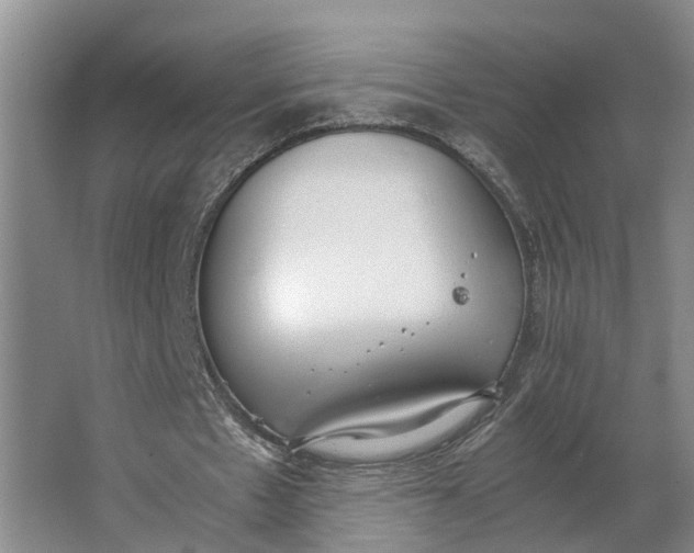 X0000062900481200601271717