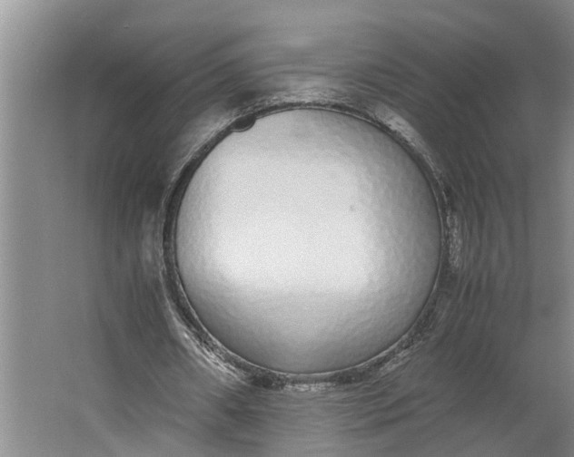 X0000062900482200601271717