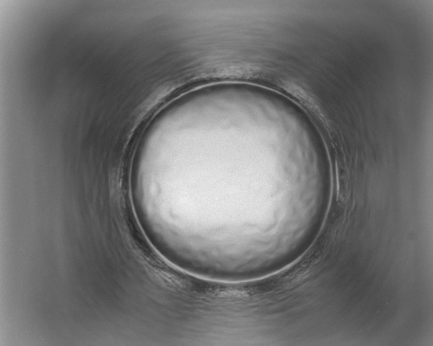 X0000062900483200601271717