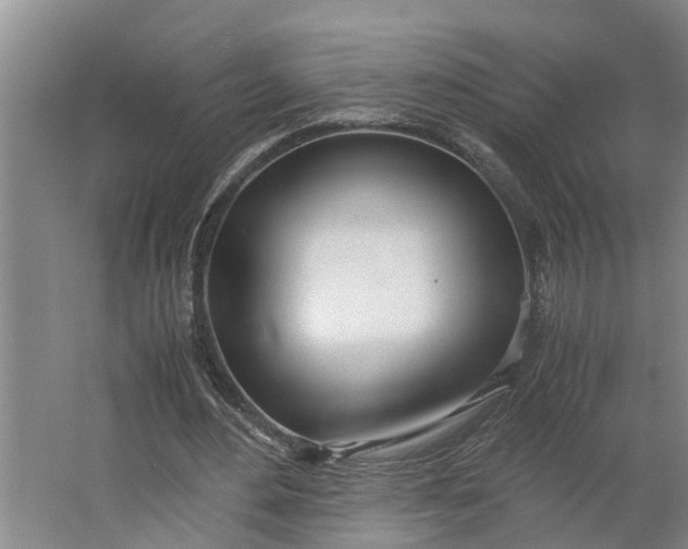 X0000062900484200601271717