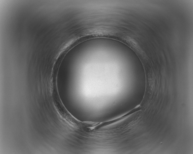 X0000062900488200601271717