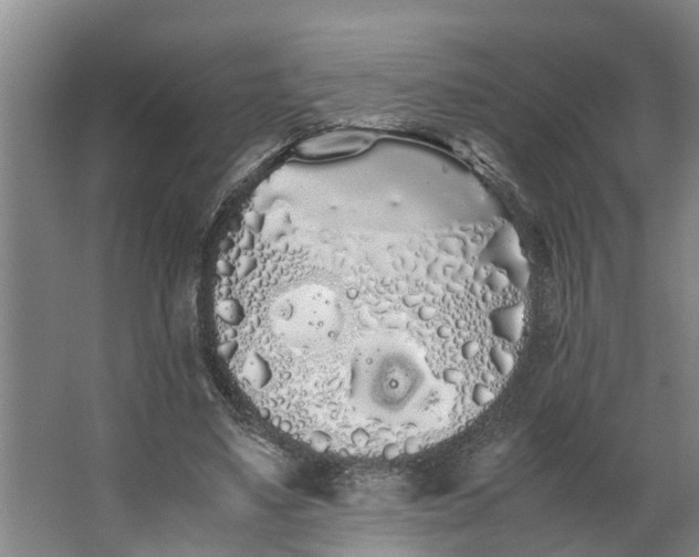 X0000062900491200601271717