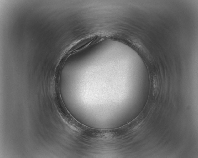 X0000062900492200601271717