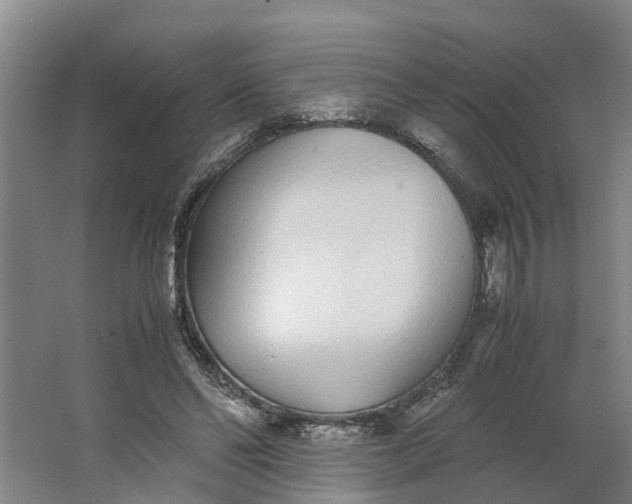 X0000062900494200601271717