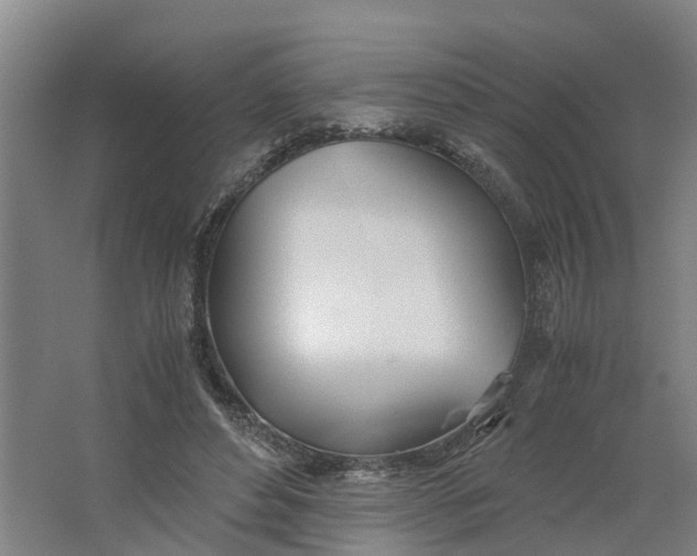 X0000062900496200601271717