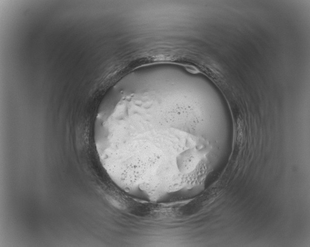 X0000062900499200601271717