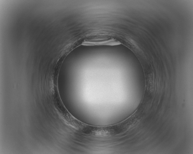 X0000062900500200601271717