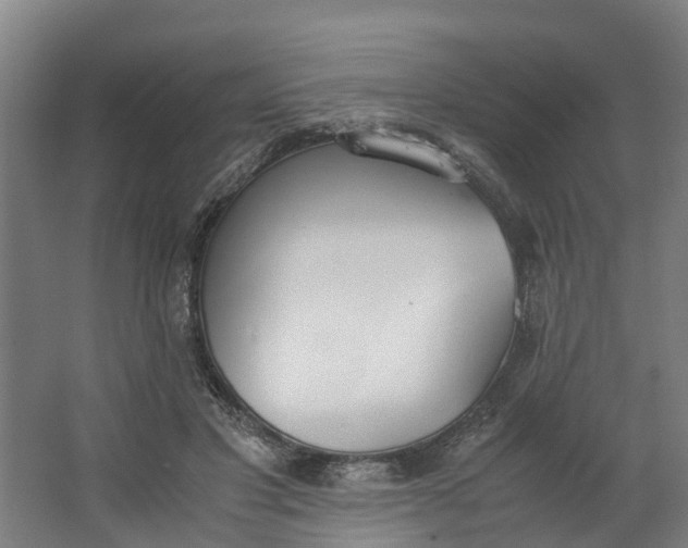 X0000062900501200601271717