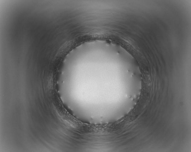 X0000062900502200601271717