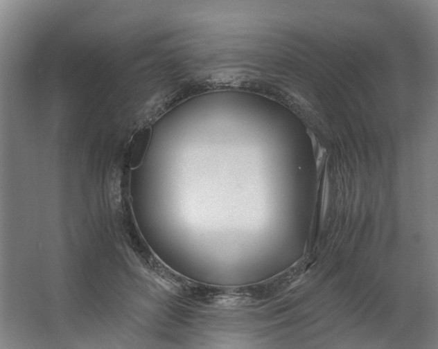 X0000062900504200601271717