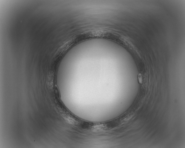 X0000062900505200601271717