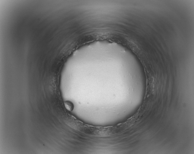 X0000062900506200601271717