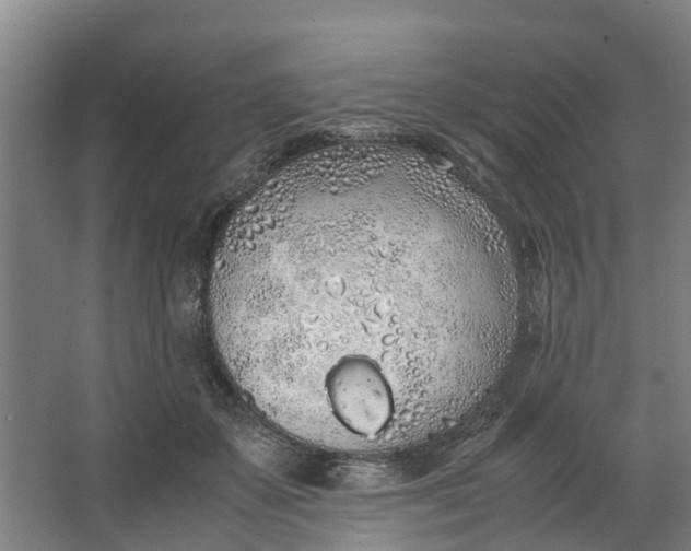 X0000062900507200601271717