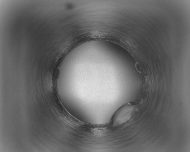 X0000062900508200601271717