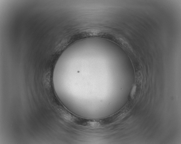 X0000062900509200601271717