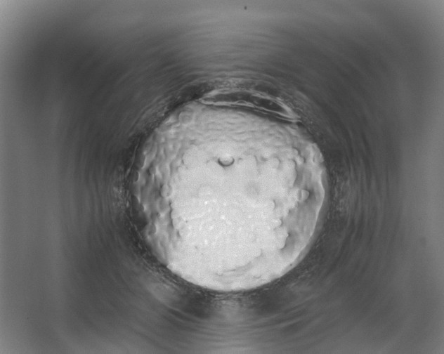 X0000062900510200601271717