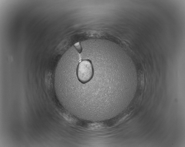 X0000062900511200601271717