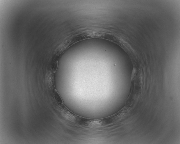 X0000062900513200601271717