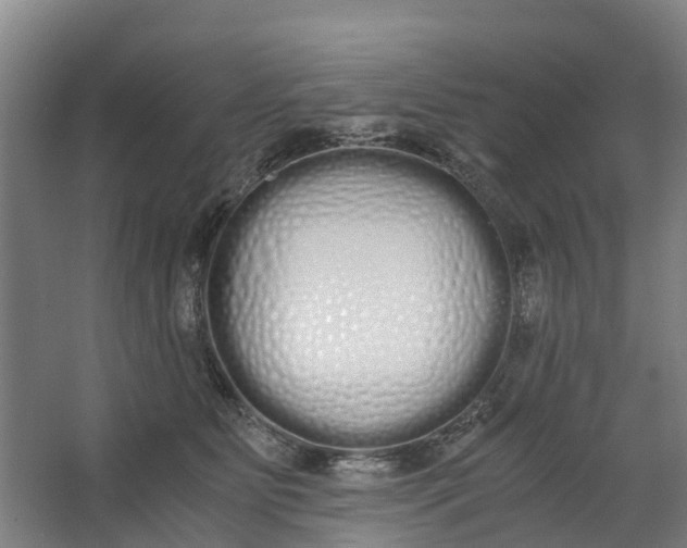 X0000062900515200601271717