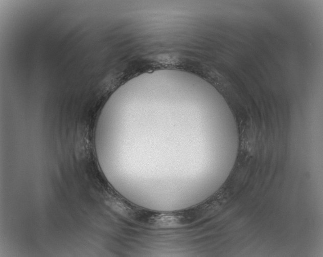 X0000062900518200601271717