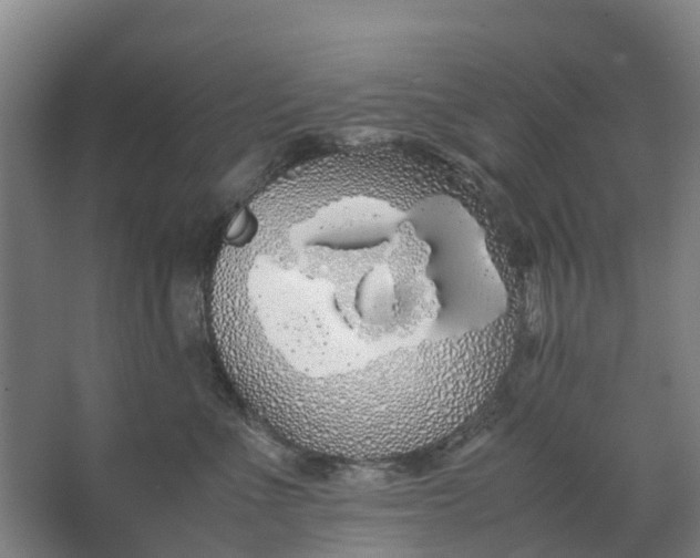 X0000062900523200601271717