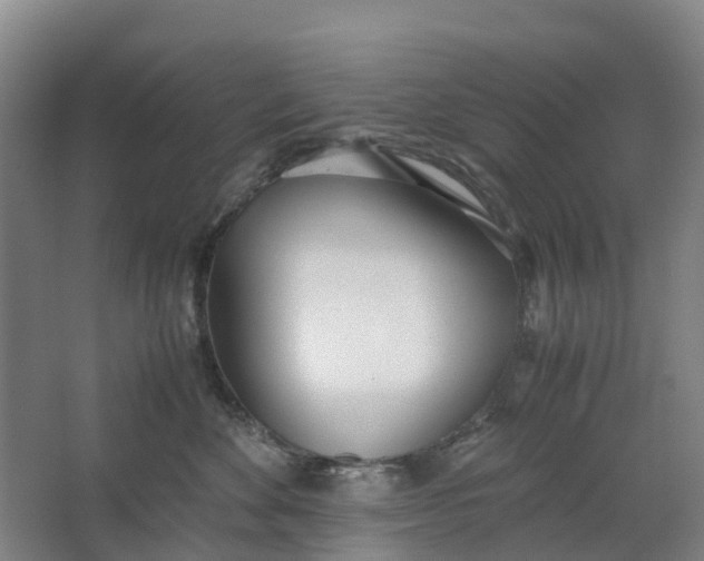 X0000062900524200601271717