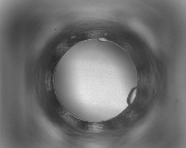 X0000062900525200601271717