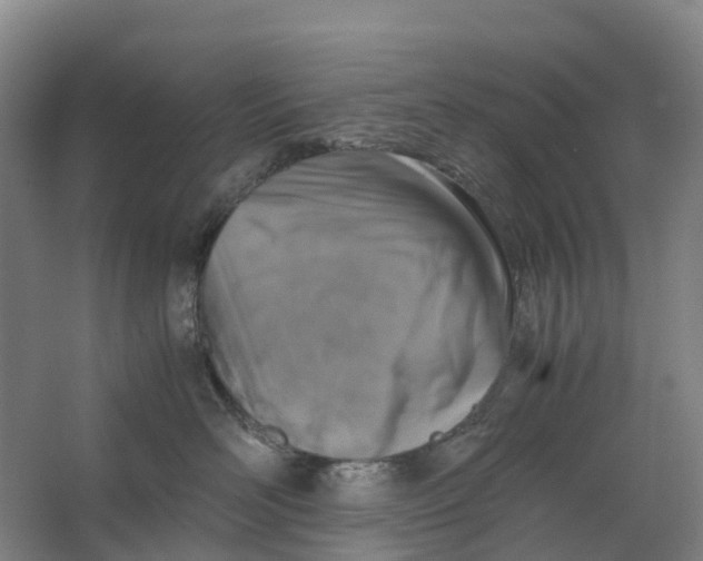 X0000062900526200601271717