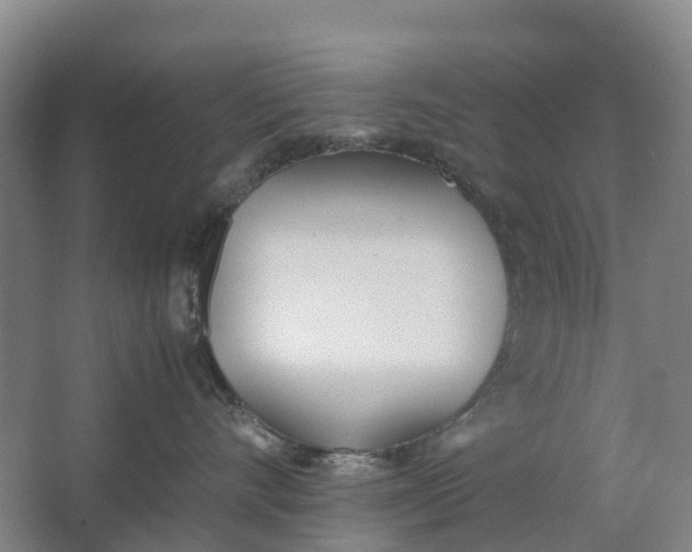 X0000062900528200601271717