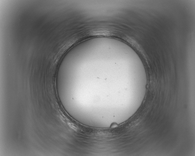 X0000062900529200601271716