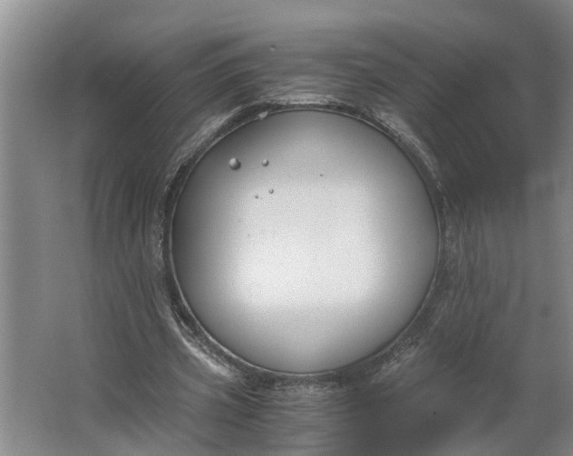 X0000062900533200601271716