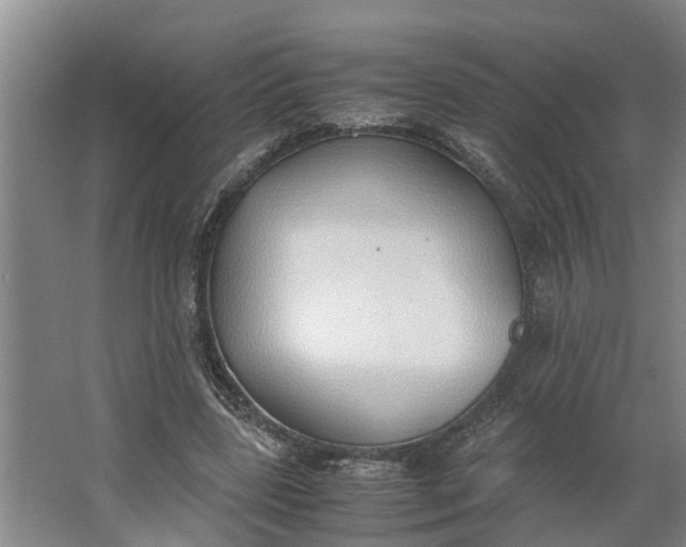 X0000062900539200601271716