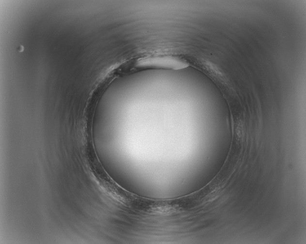 X0000062900540200601271716