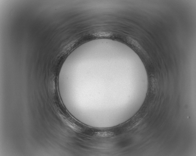 X0000062900541200601271716