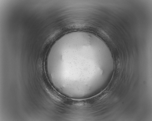 X0000062900542200601271716