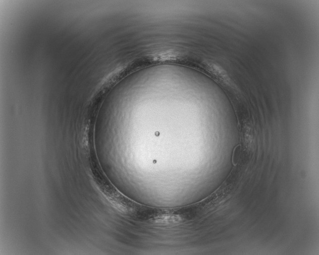 X0000062900543200601271716