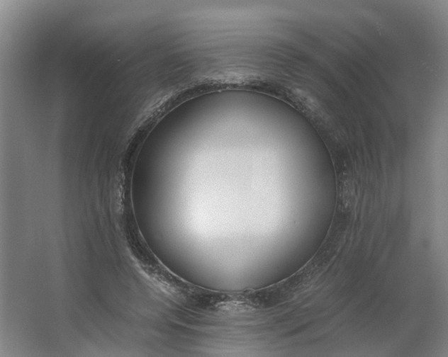 X0000062900544200601271716