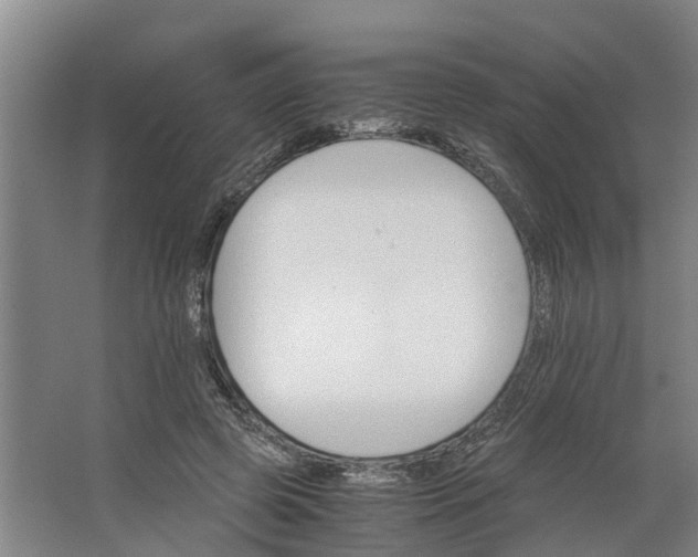 X0000062900545200601271716