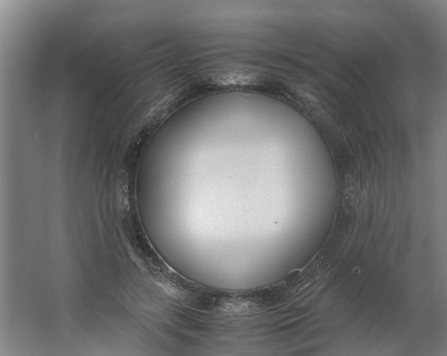 X0000062900547200601271716