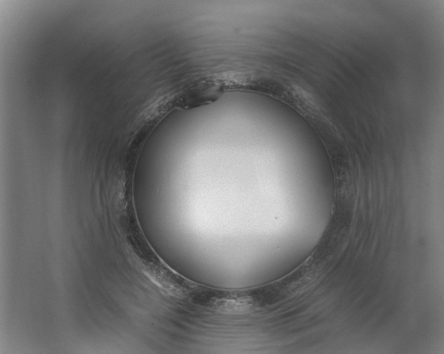 X0000062900548200601271716