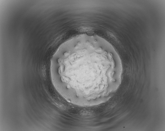 X0000062900549200601271716