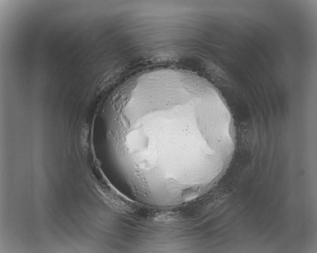 X0000062900550200601271716