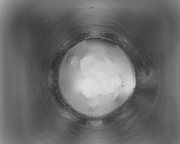 X0000062900554200601271716