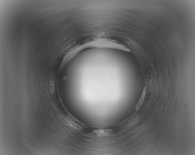 X0000062900558200601271716